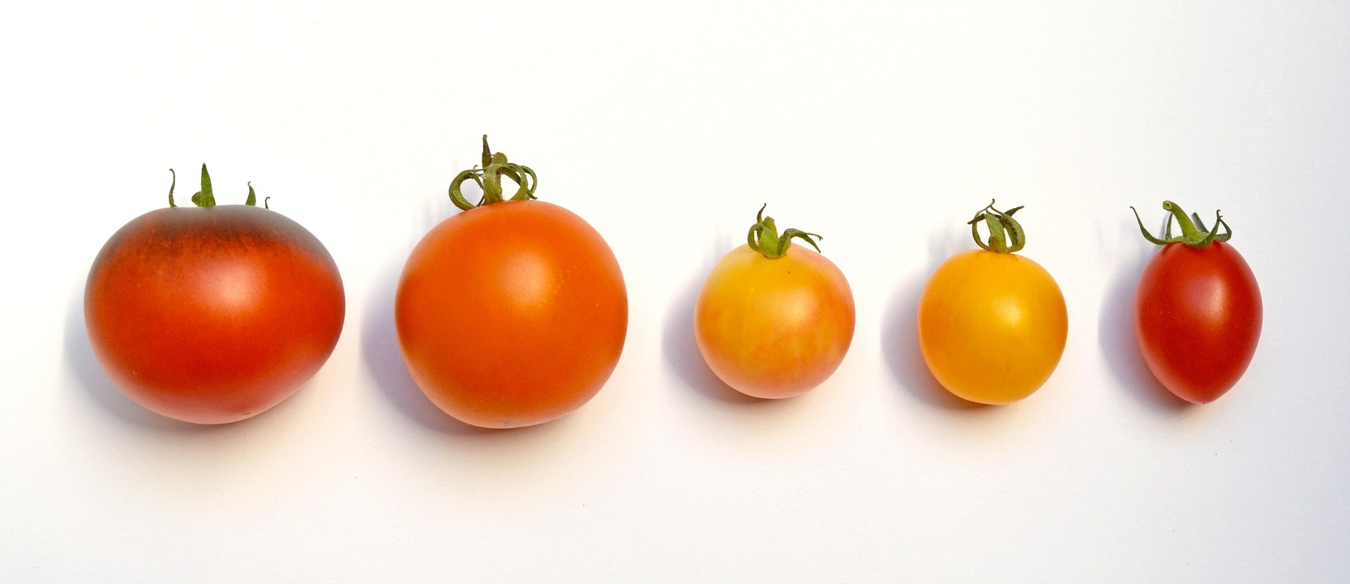 Pomodoro Technique