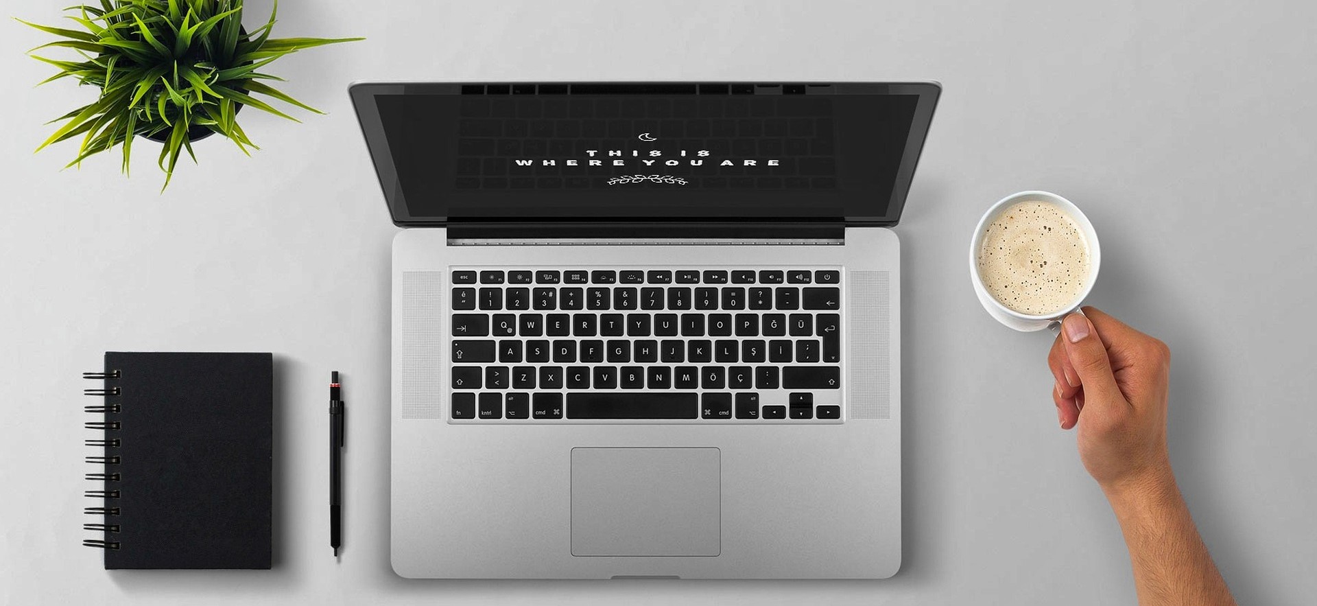 Is Scrivener worth it image