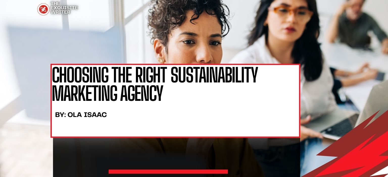 brand examining sustainability marketing agency