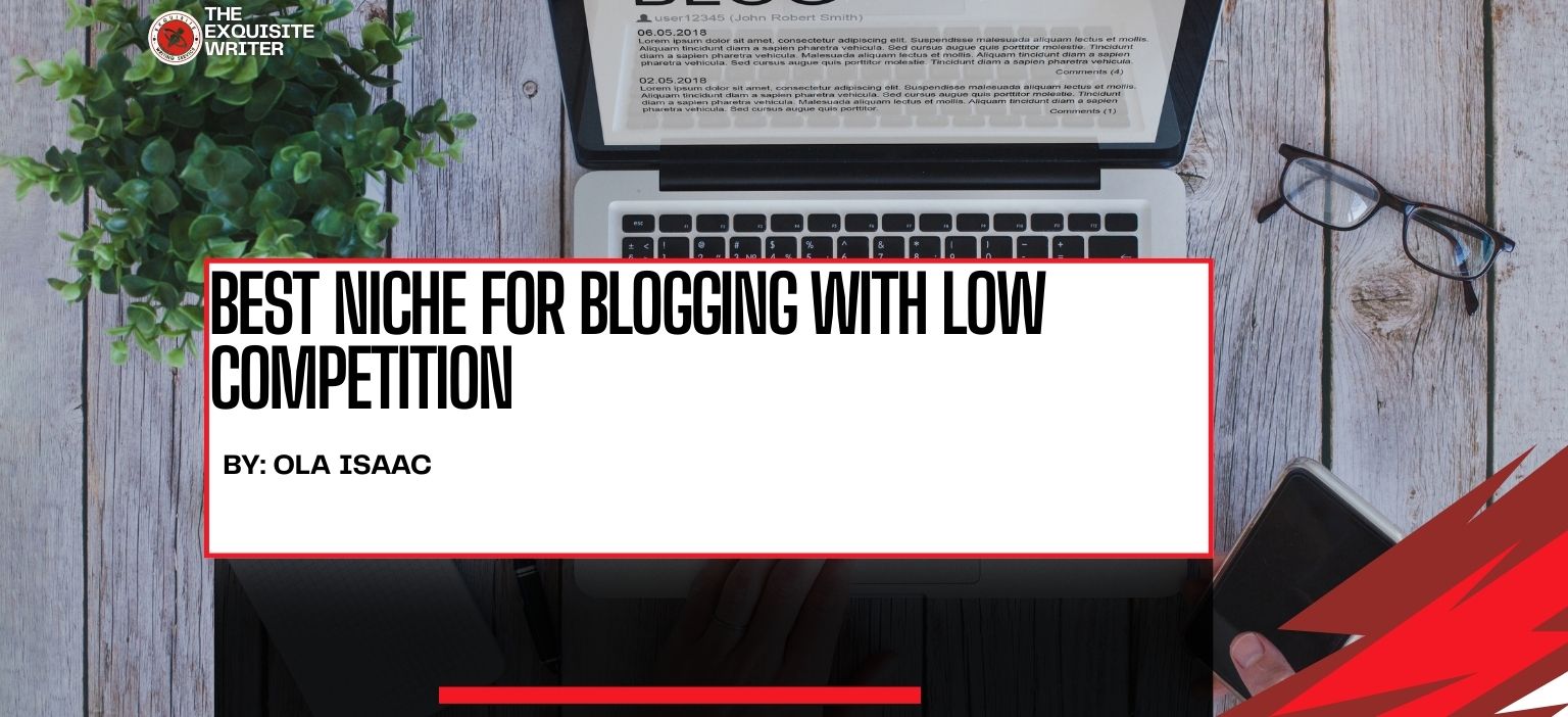 Image with niche for blogging with low competition