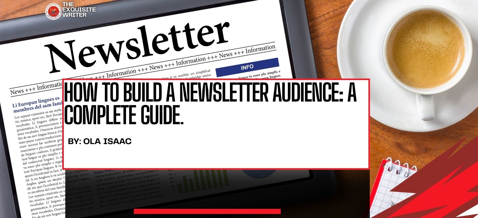 image of how to build a newsletter audience