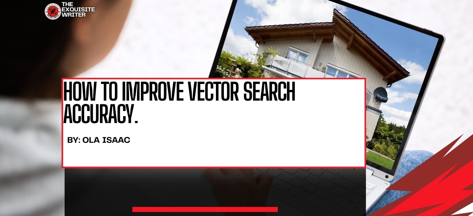 checking How to Improve Vector Search Accuracy