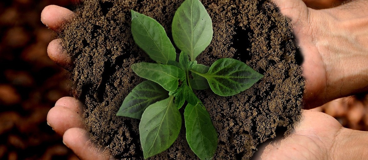 sustainability marketing agency